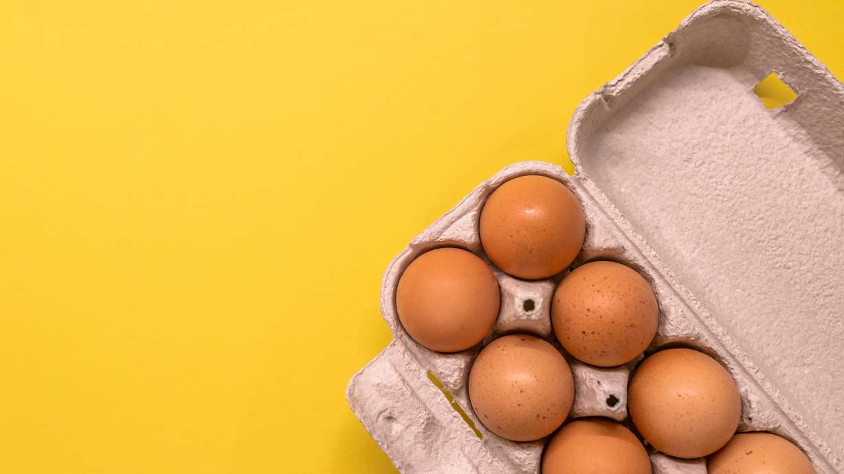 The rundown on eggs