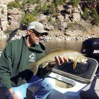 Using corn as bait now allowed at all Utah waters; other fishing changes announced for 2019-20
