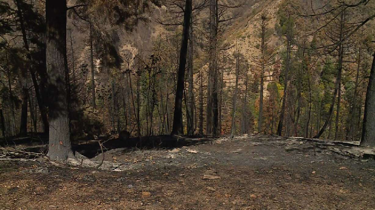Utah cities hit by wildfire confronting burn-scar risks