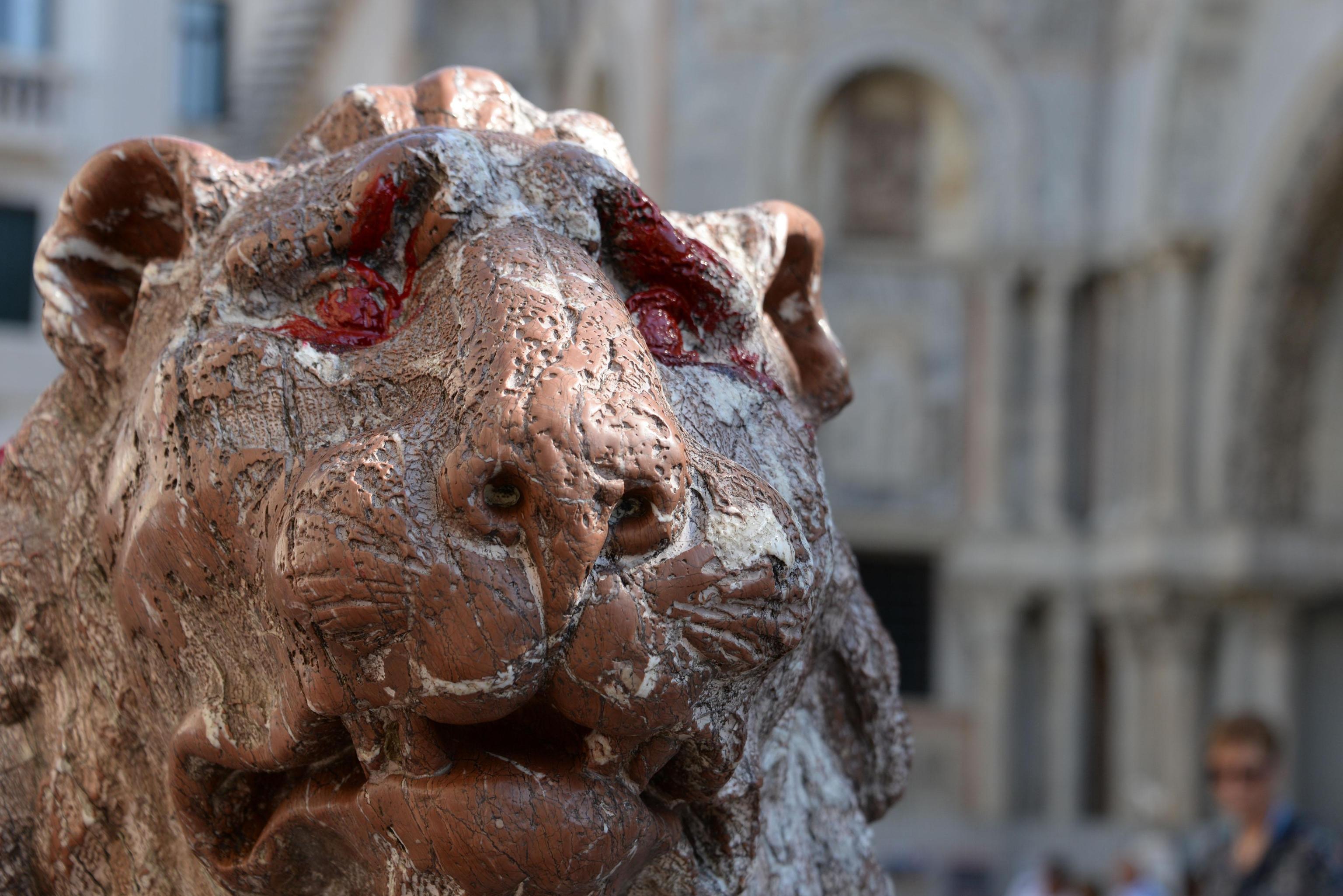 Lion statue standing guard at Venice's San Marco vandalized