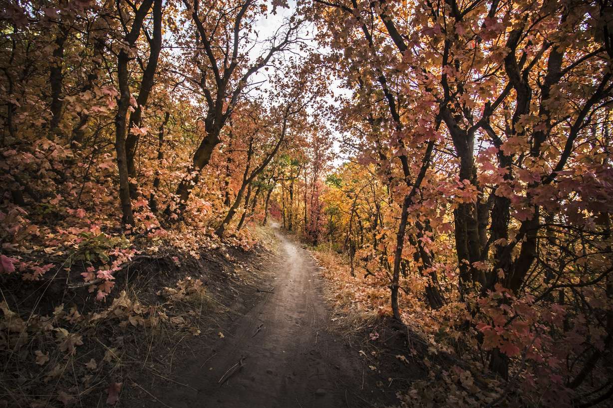 A view from the Canyon Hollow Trail in Draper on Saturday, Sept. 29, 2018. The trail is about 2.4 miles in length and has an elevation of about 700 feet. (Photo: Carter Williams, KSL.com)