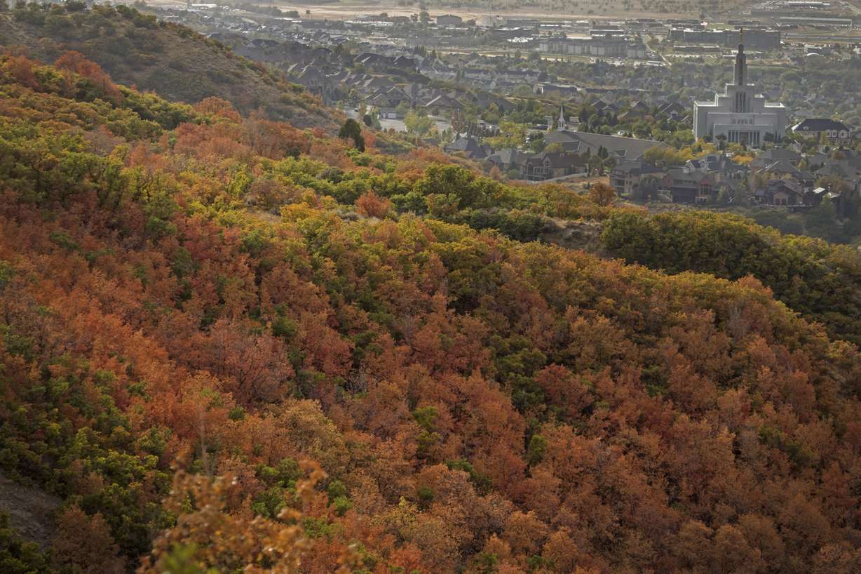 A view of the Draper Temple in the distance from the Canyon Hollow Trail in Draper on Saturday, Sept. 29, 2018. (Photo: Carter Williams)