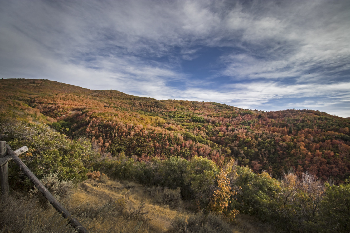 A view of the Canyon Hollow Trail in Draper on Sept. 29, 2018, from the Ghost Falls trailhead. A hiker found the skeletal remains of Bradley Cutler near a trail in Draper on Tuesday.
