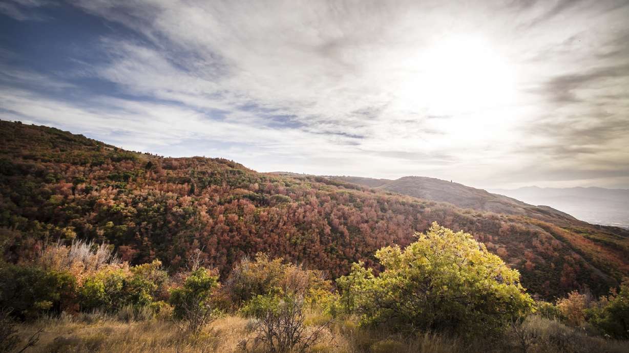 Canyon Hollow Trail offers fall colors without the travel