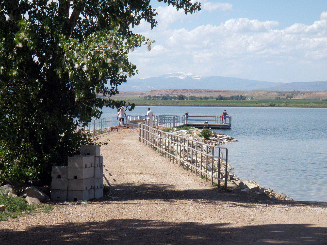 Wildlife officials to kill fish and close 2 reservoirs after goldfish, carp infestations