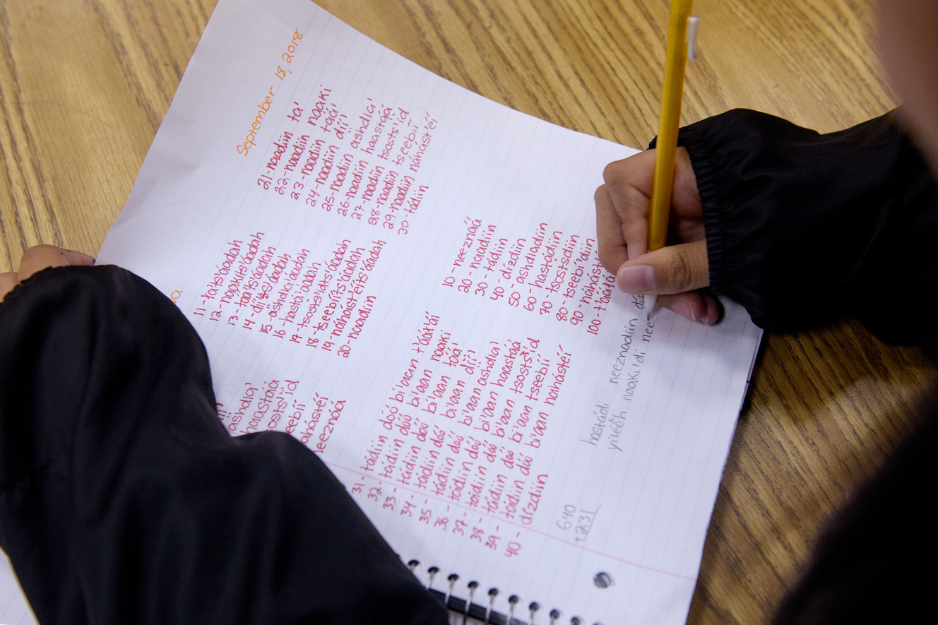 San Juan High School students help bring Navajo to Duolingo