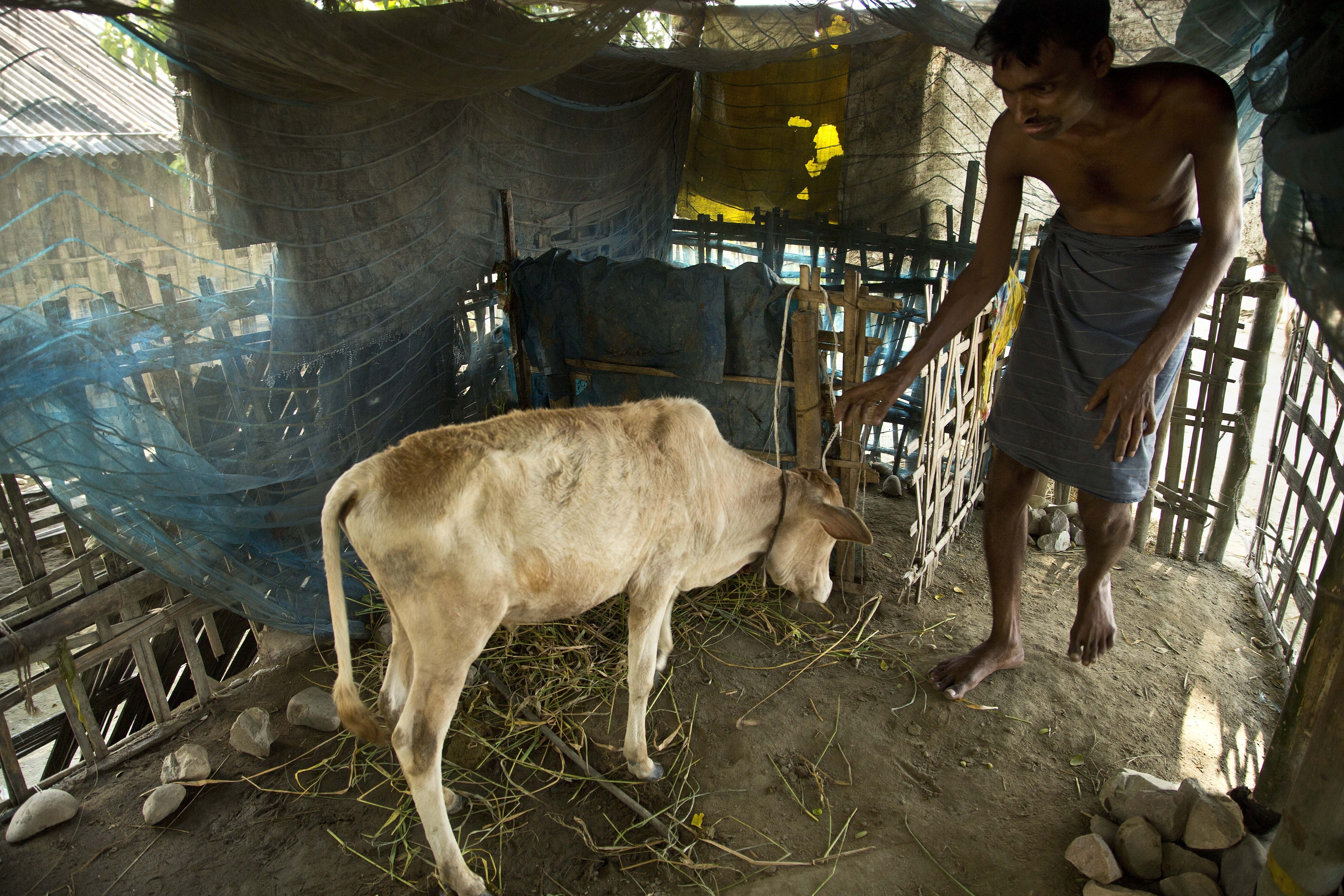 AP Photos: Residents of India's shrinking island struggle