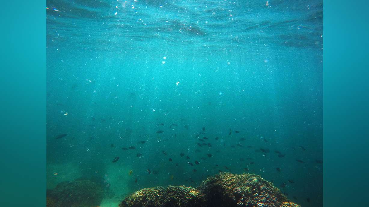 UN report on global warming carries life-or-death warning