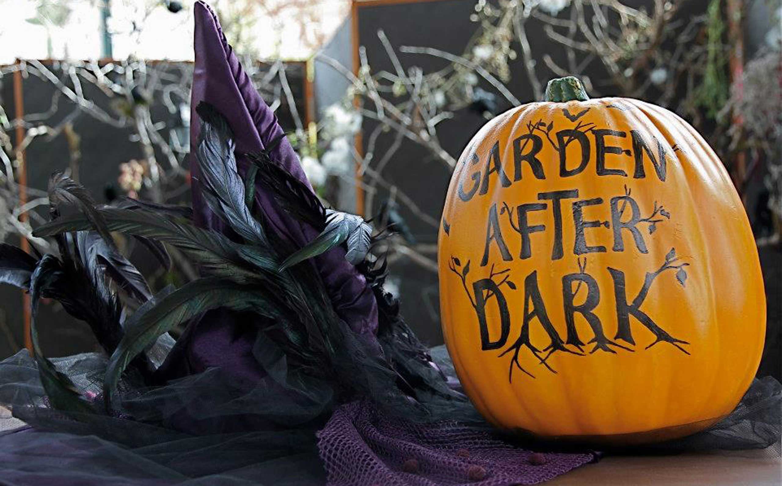Red Butte Garden event welcomes aspiring witches, wizards