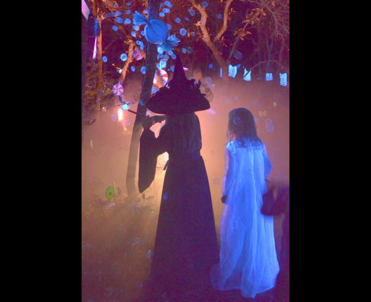 Photo courtesy of Red Butte Garden.