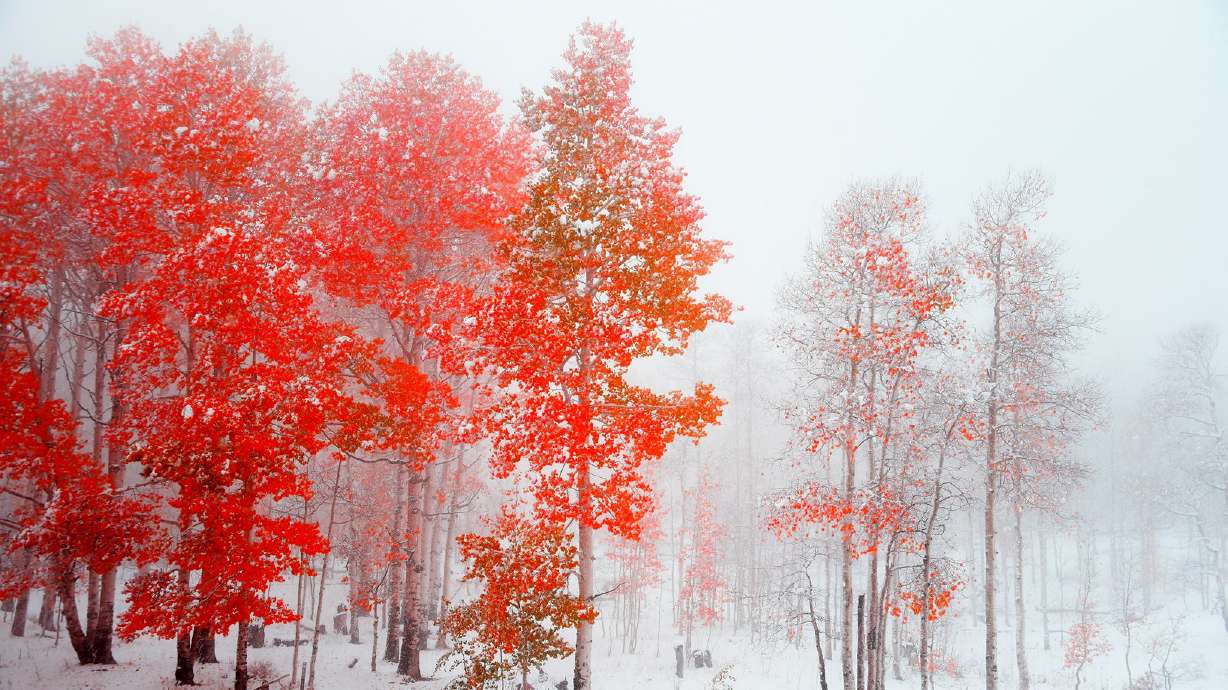 User submitted: The first snow of the season has arrived!