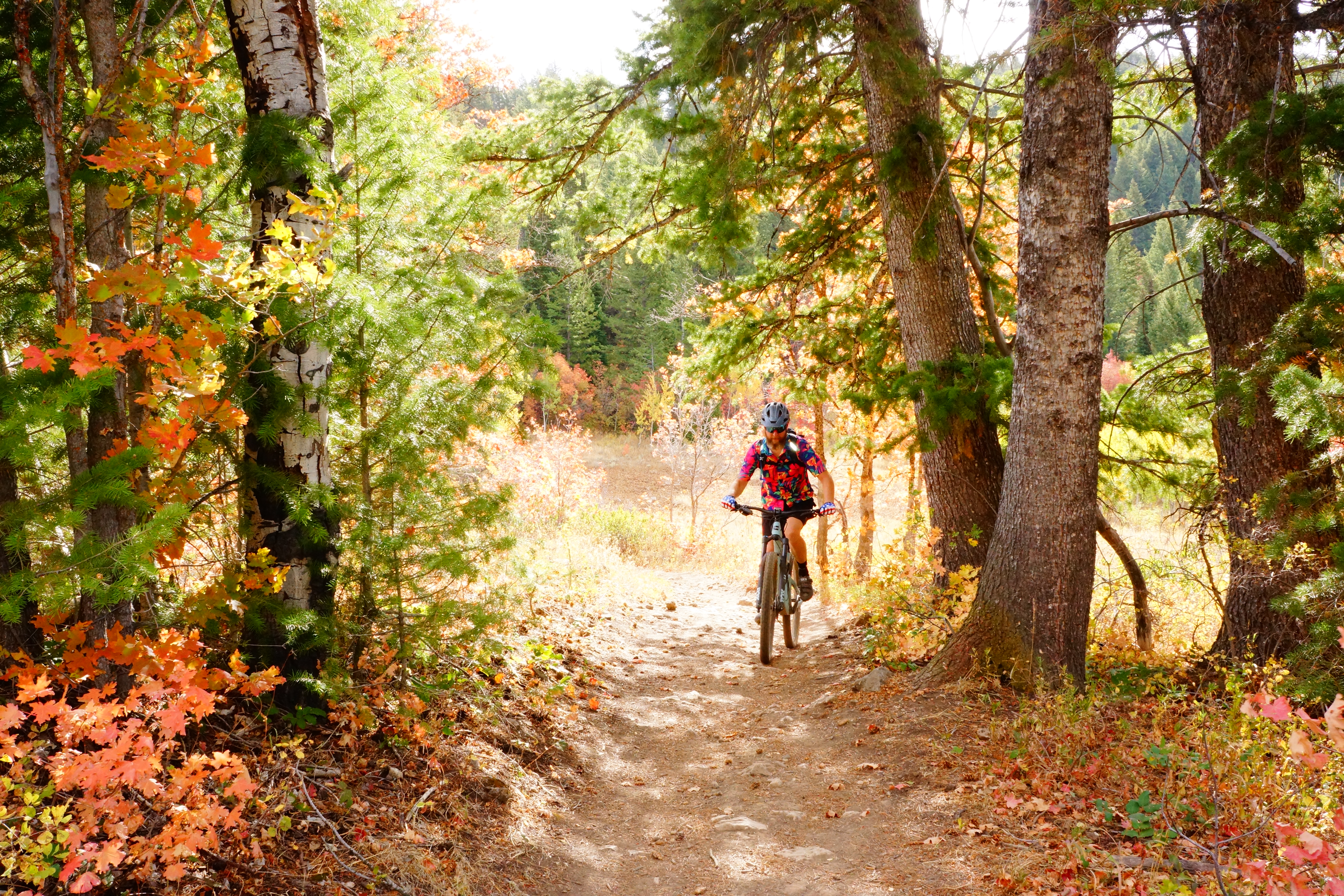 The best biking trails to see fall colors in Utah