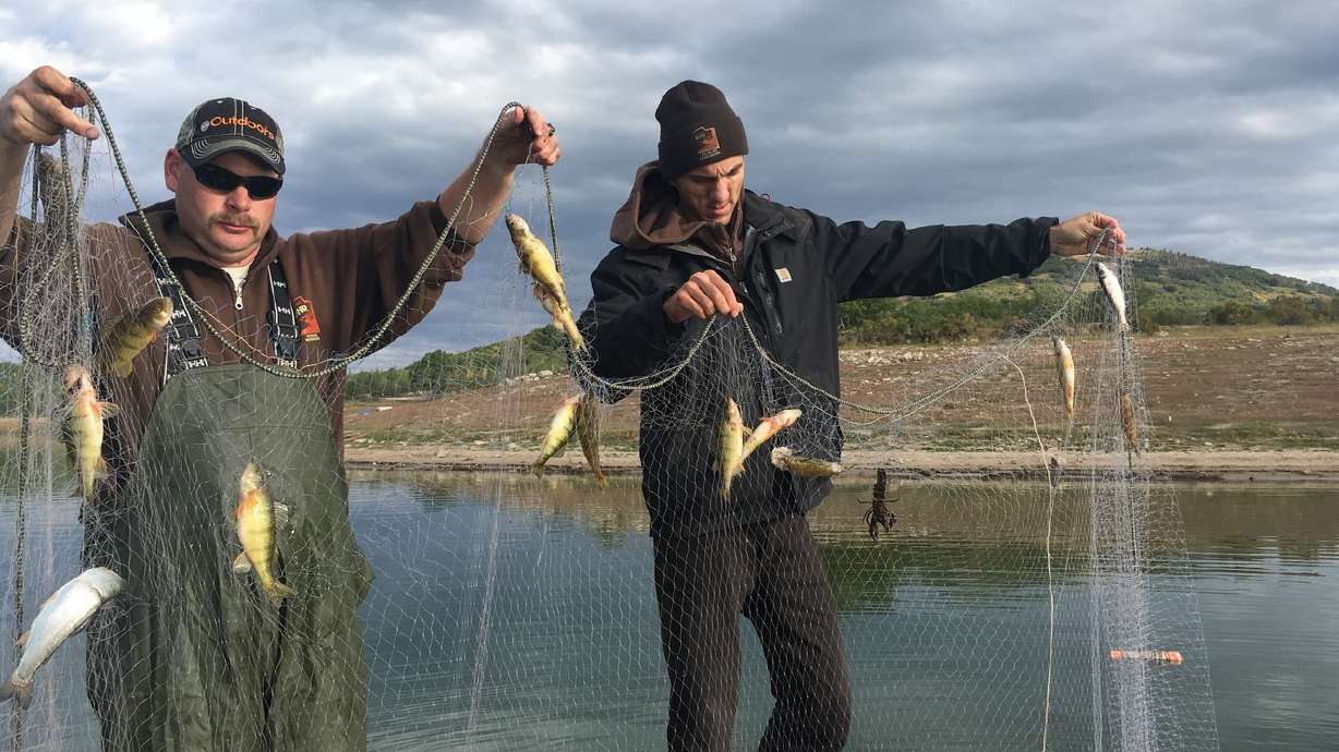 3 fish species have infested Kolob Reservoir. Know who put them there? You could get $3K