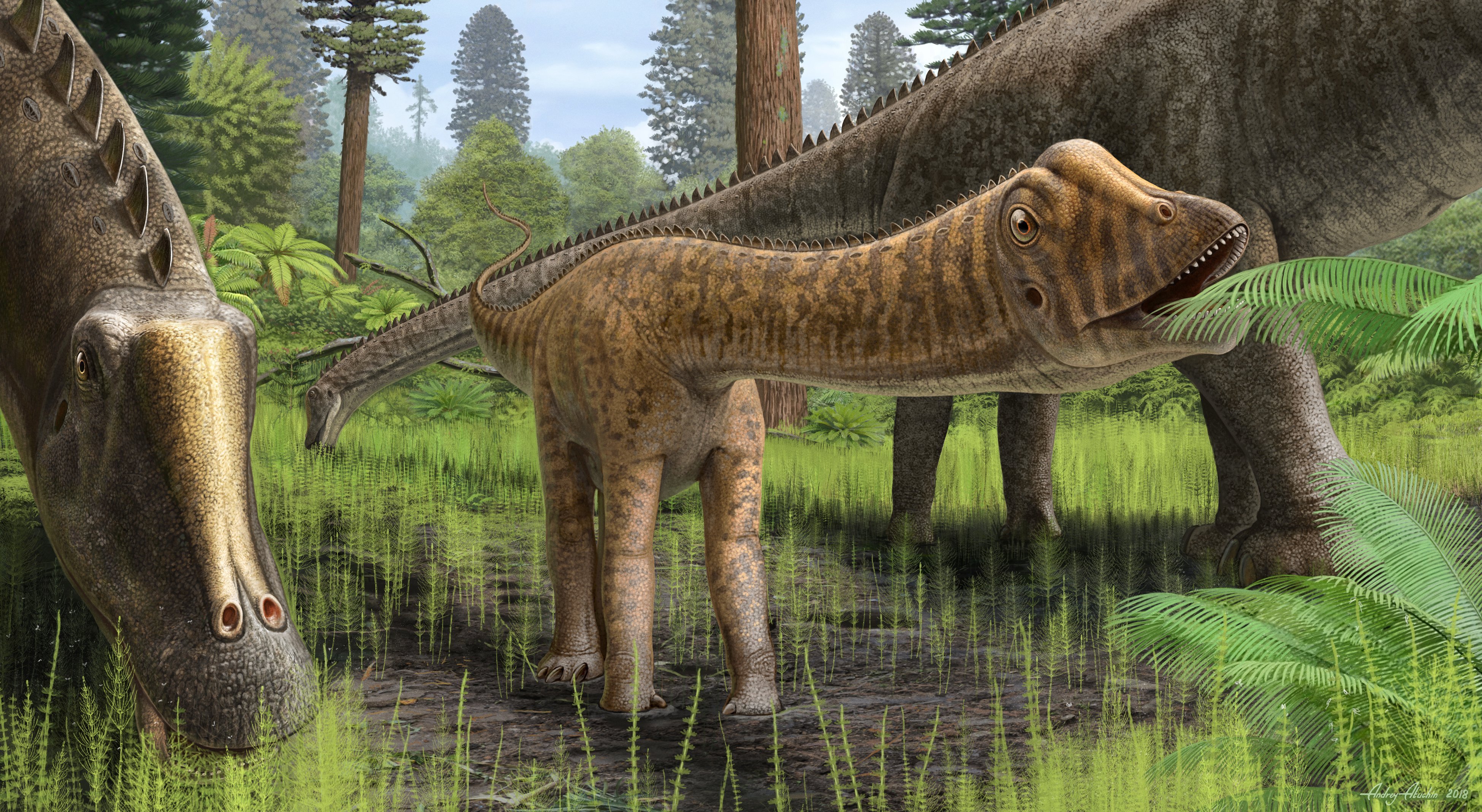 Rare baby dinosaur fossil is full of surprises
