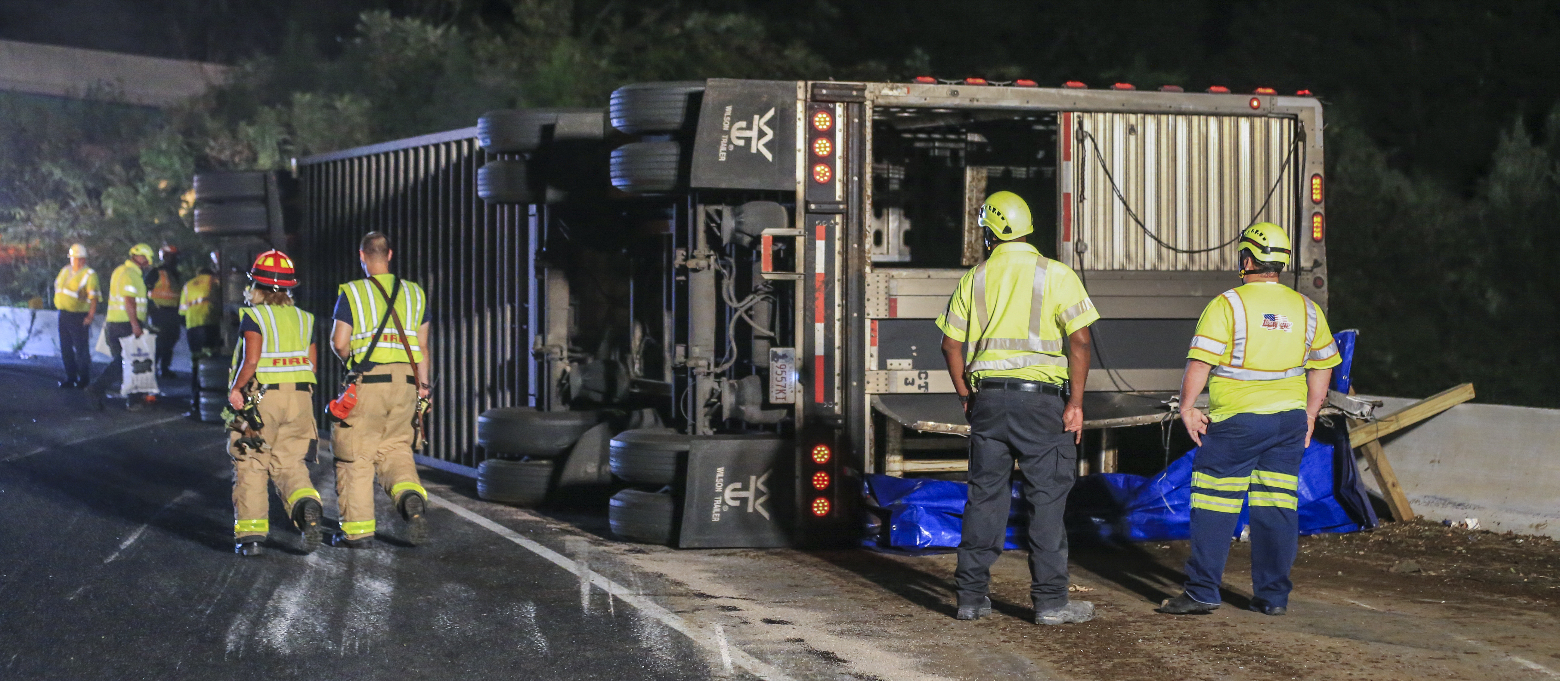 Cattle roundup over: Last cow caught weeks after truck crash