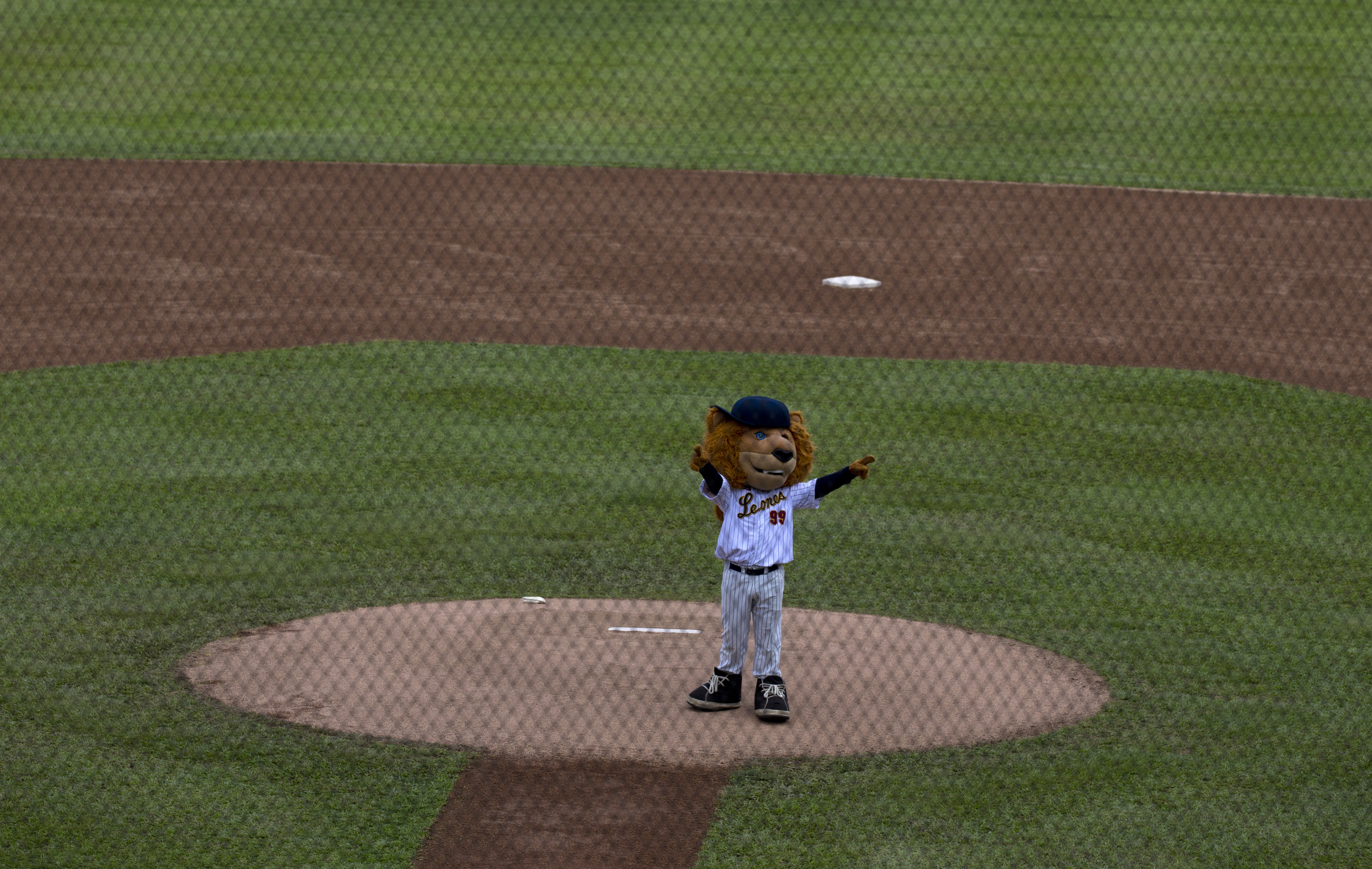 Venezuelan fans endure sacrifices to 'Play Ball' amid crisis