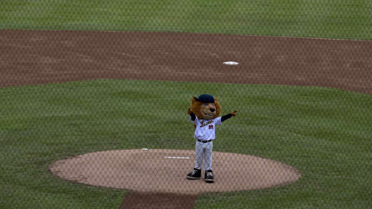 Venezuelan fans endure sacrifices to 'Play Ball' amid crisis