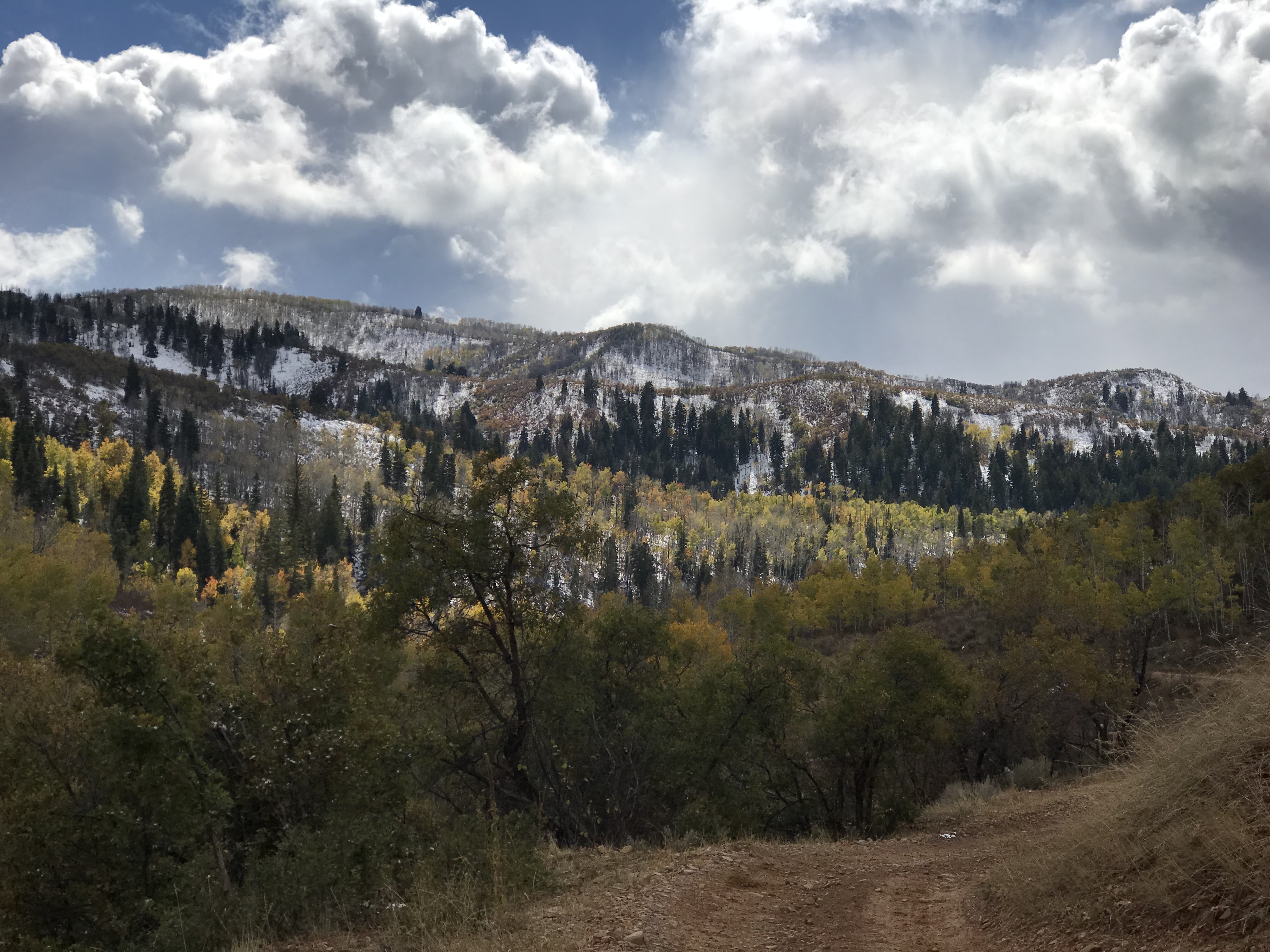 Pics of the Week: More fall foliage, sunsets and sunrises