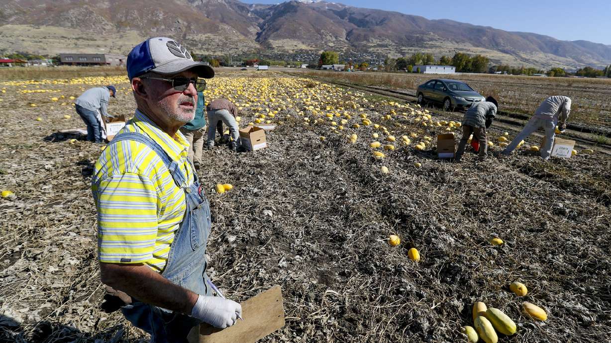Farmington finds new land to build soccer fields, leaving farmland safe