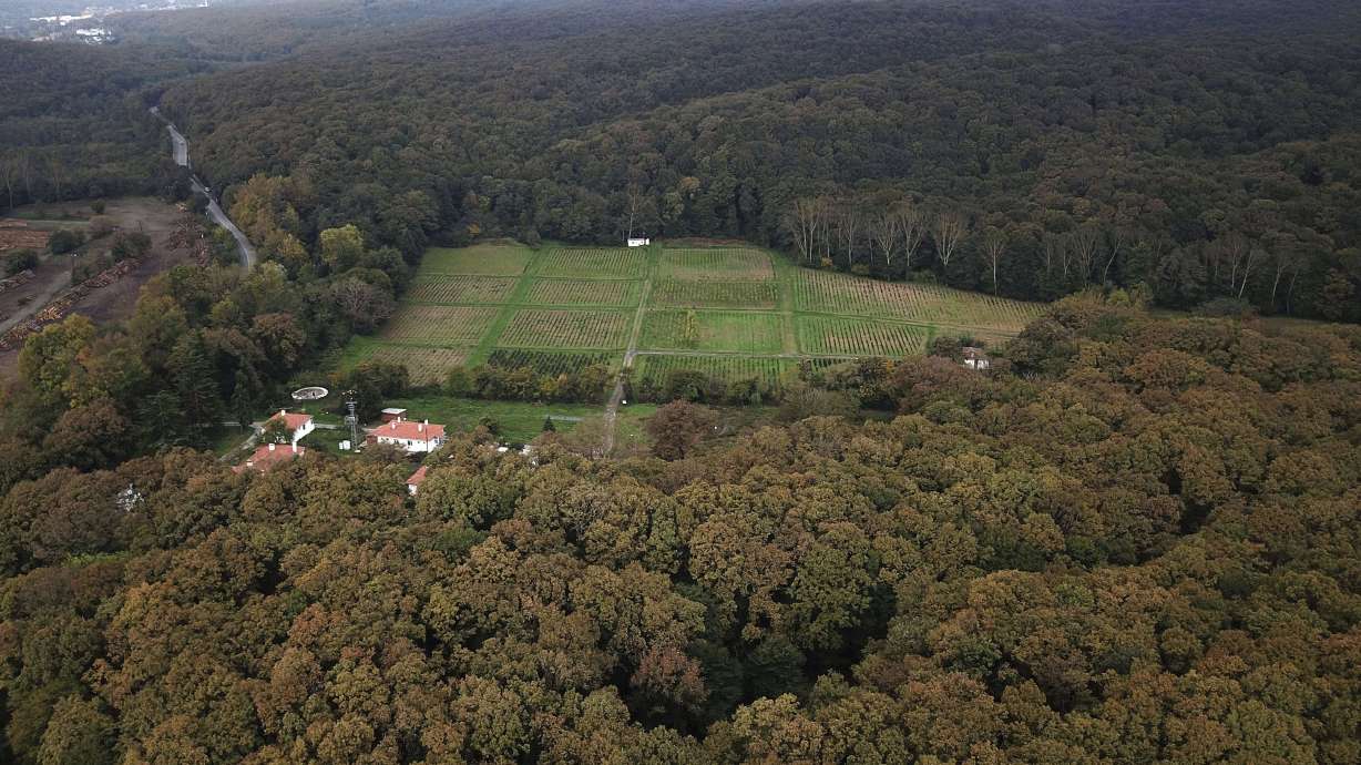 Saudi account of Khashoggi killing is widely denounced