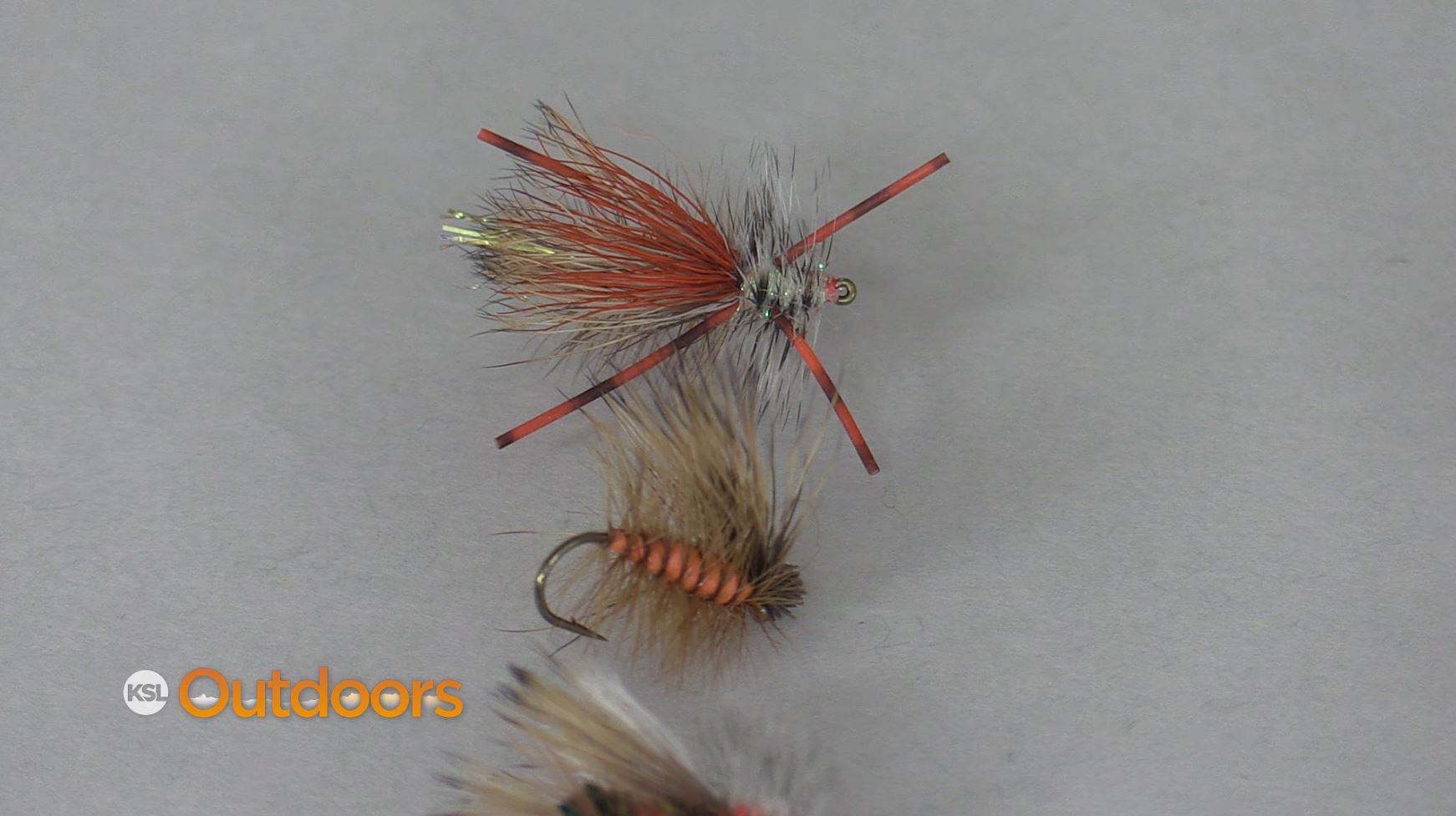 Fish Tech Fishing Tip: October Caddis Dry Flies