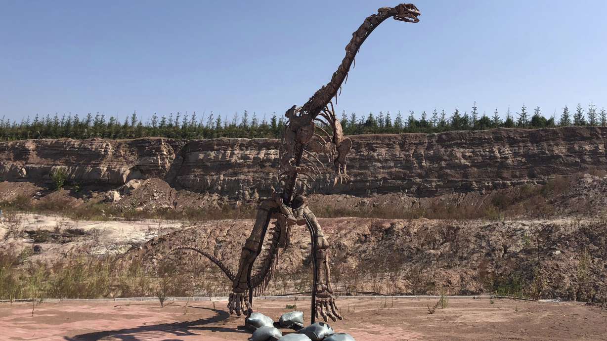 China building boom uncovers buried dinosaurs, makes a star