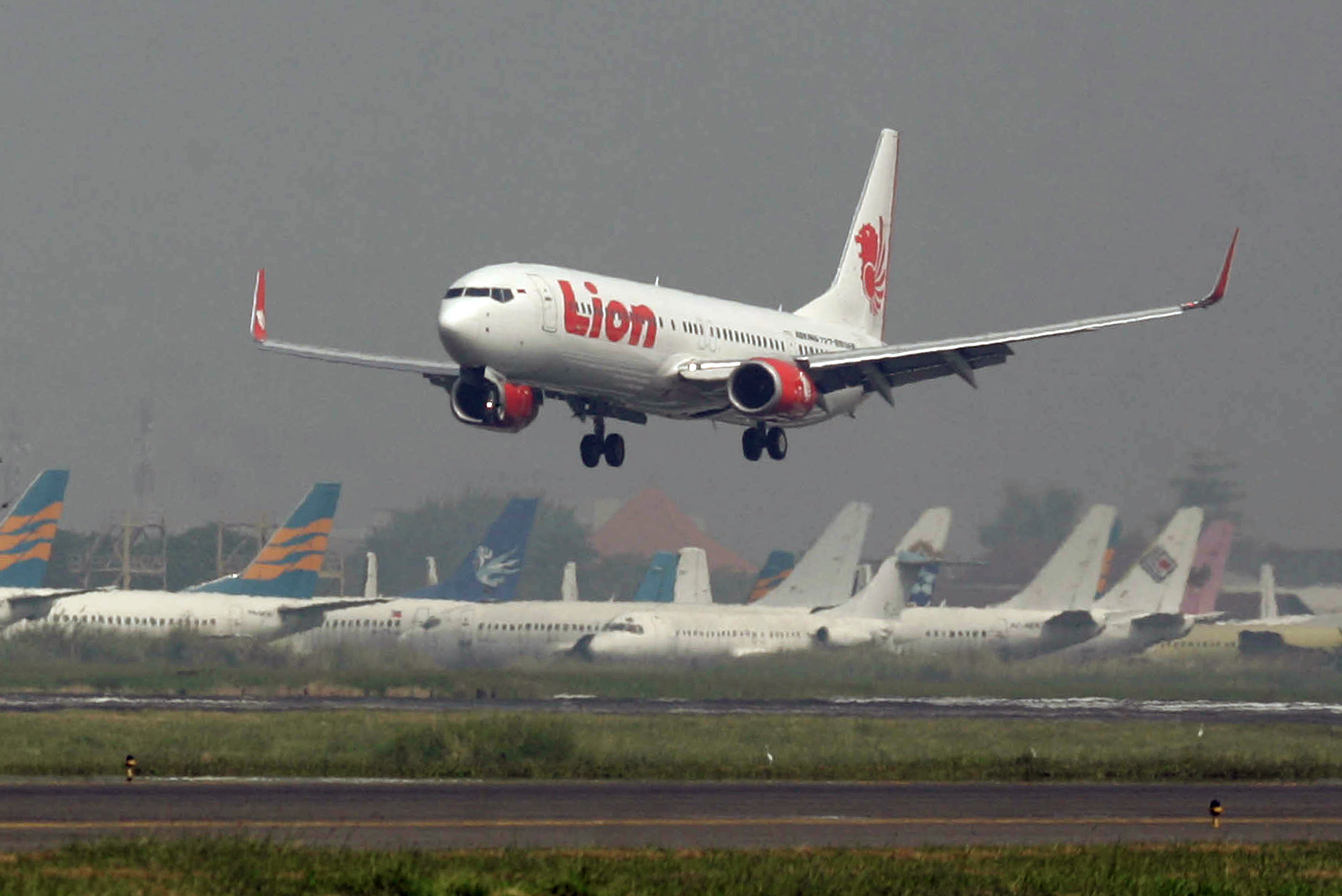 Indonesian airline whose plane crashed a low-cost high flyer