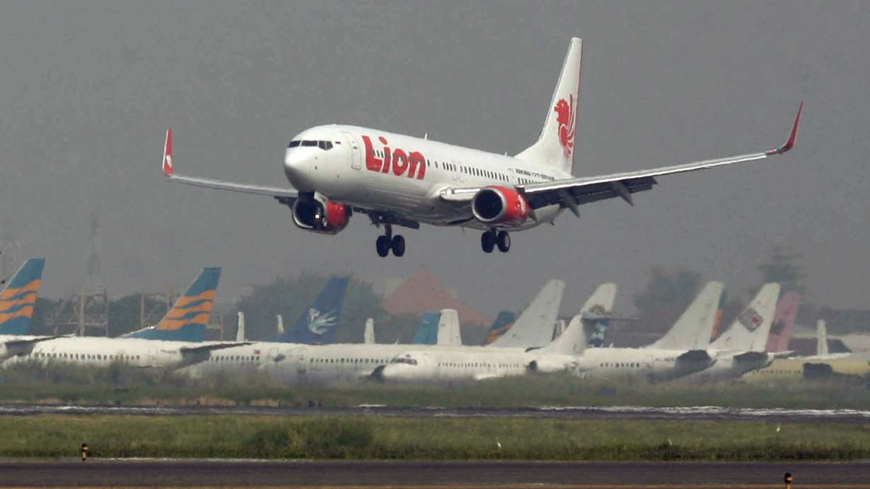 Indonesian airline whose plane crashed a low-cost high flyer
