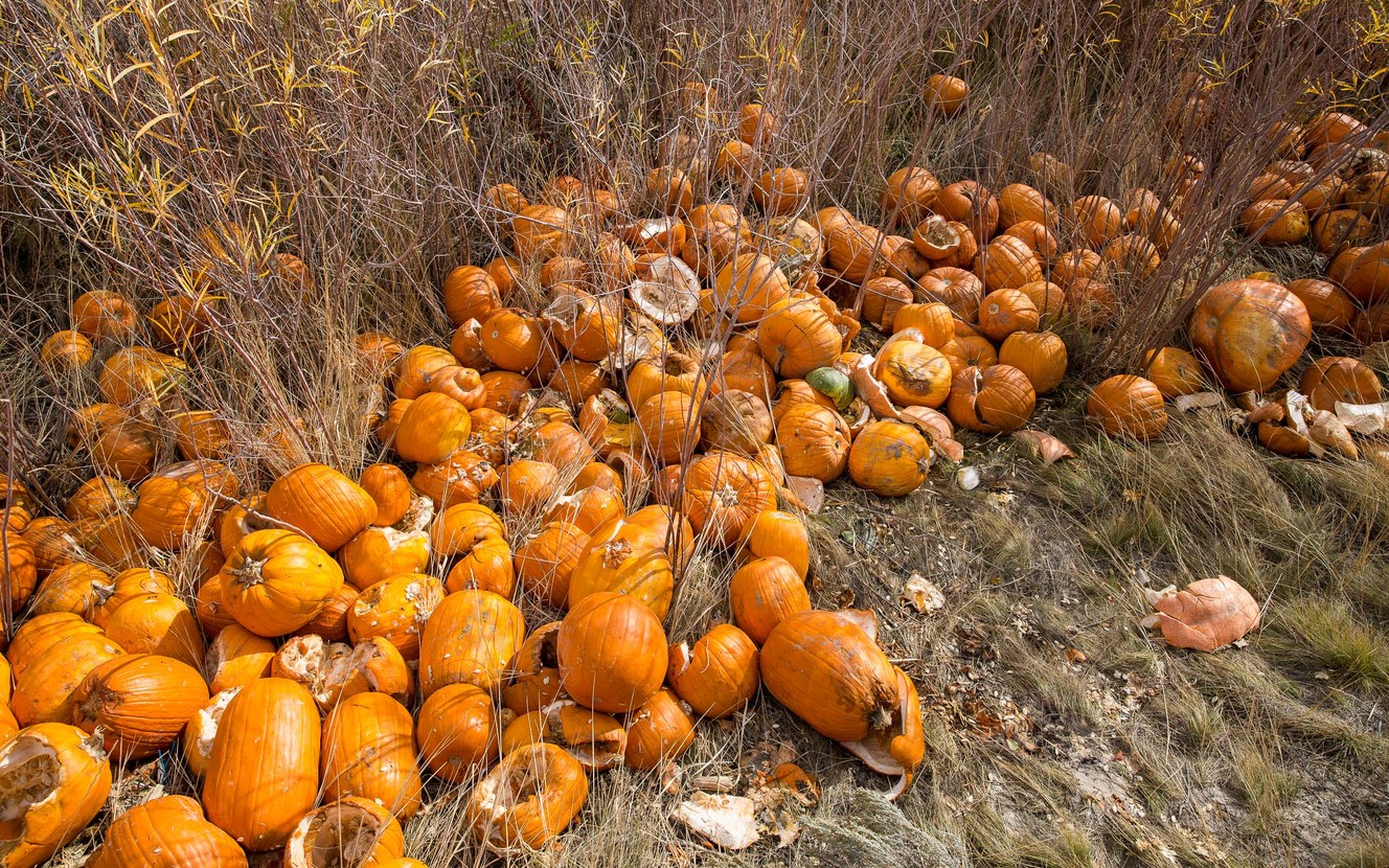 West Jordan pumpkin patch forced to close early after being vandalized