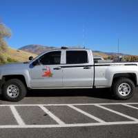 How to report poaching