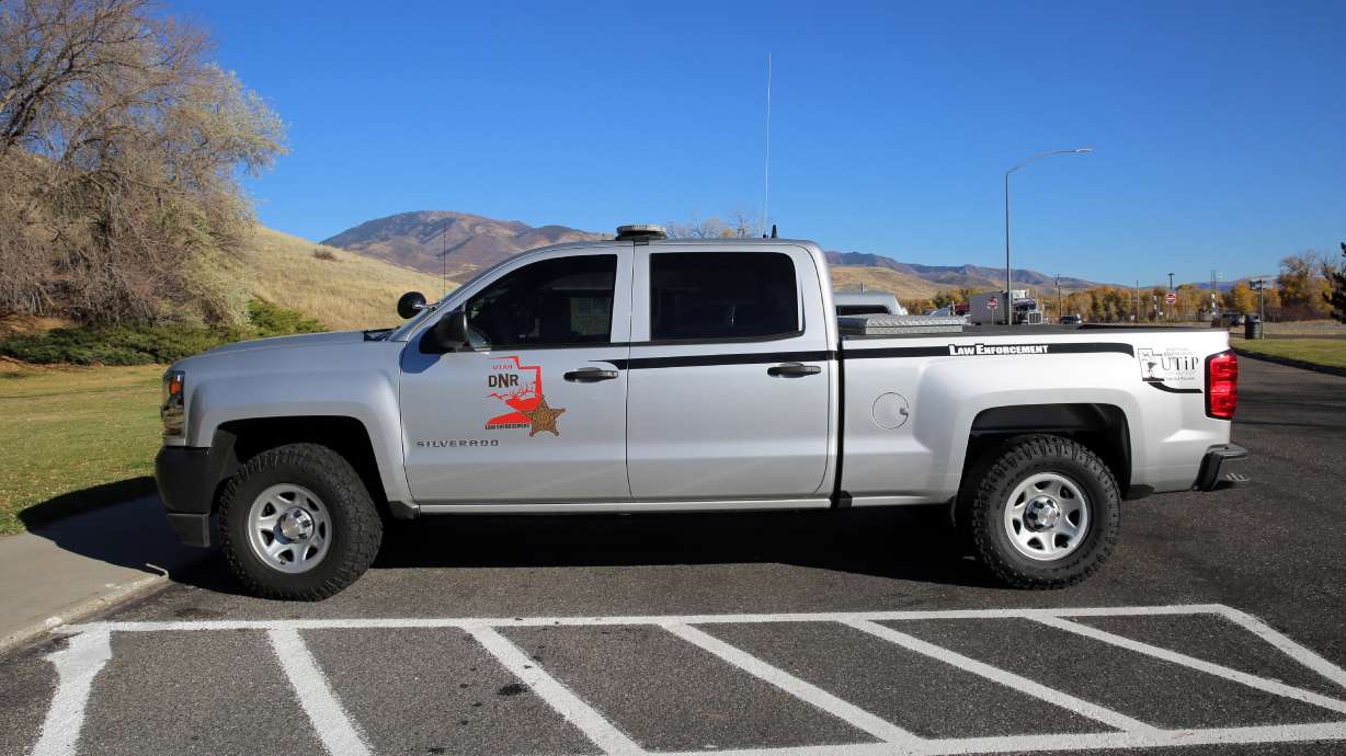 How to report poaching