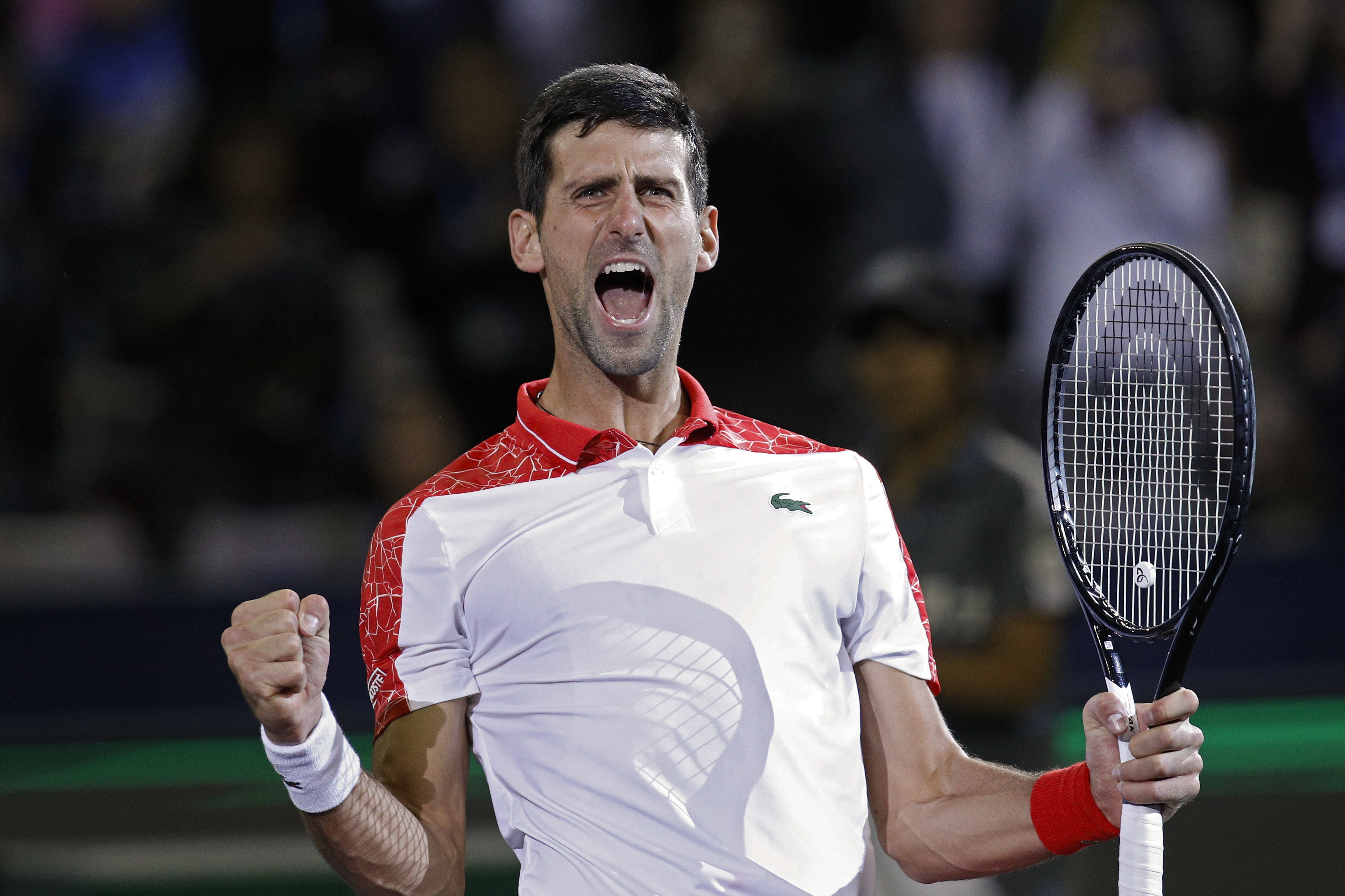 Djokovic beats Sousa in straight sets at Paris Masters
