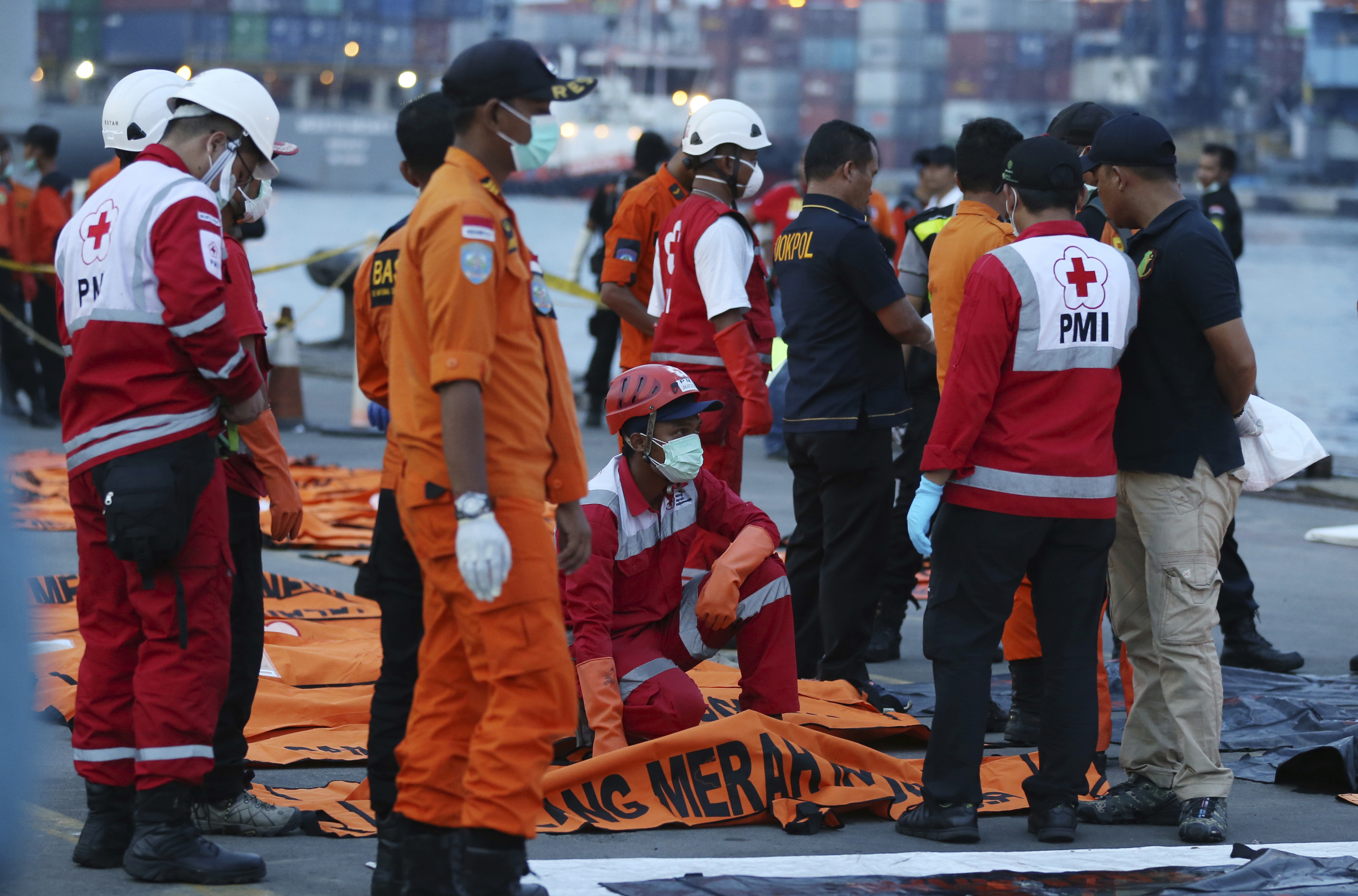 The Latest: Lion Air jet had airspeed problem on 4 flights