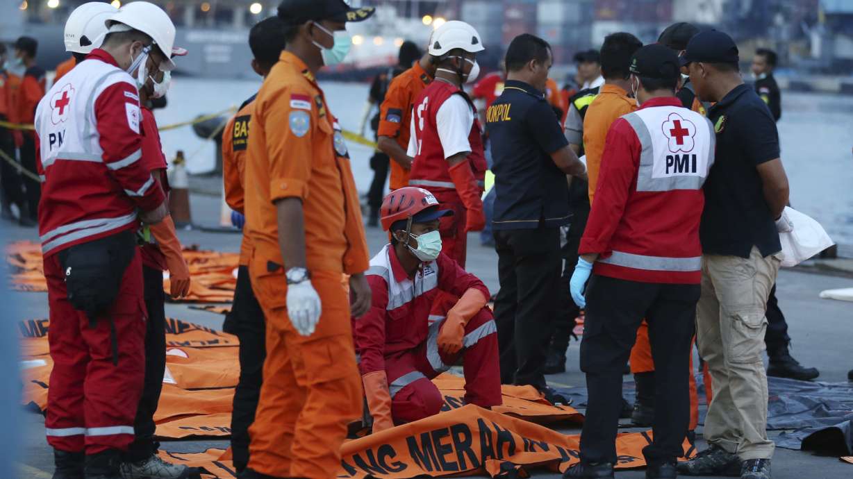 The Latest: Lion Air jet had airspeed problem on 4 flights