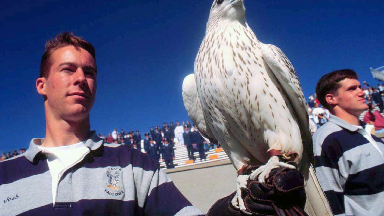 Injured Air Force falcon expected to make full recovery