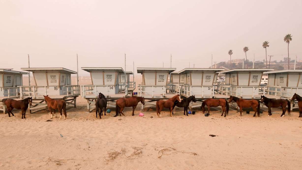 AP News Guide: Fires blaze on 2 ends of California, kill 25