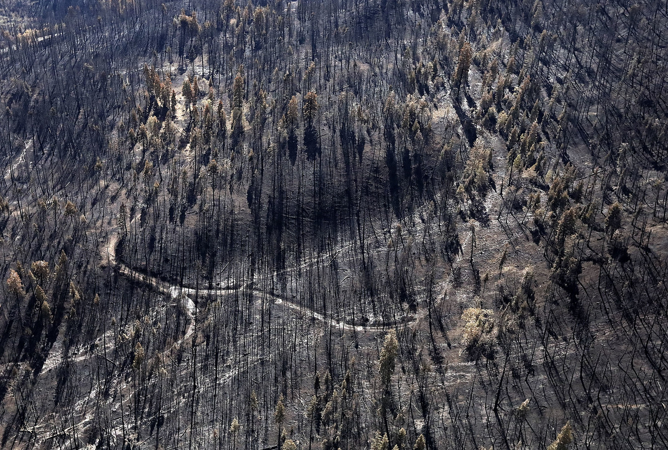 Trees burned in the Bald Mountain Fire in Utah County cover the landscape on Wednesday, Oct. 3, 2018. (Photo: Kristin Murphy, KSL)