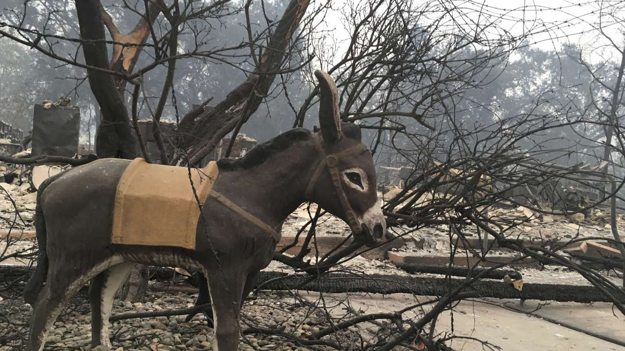 PG&E says it contacted resident about shut-off power line