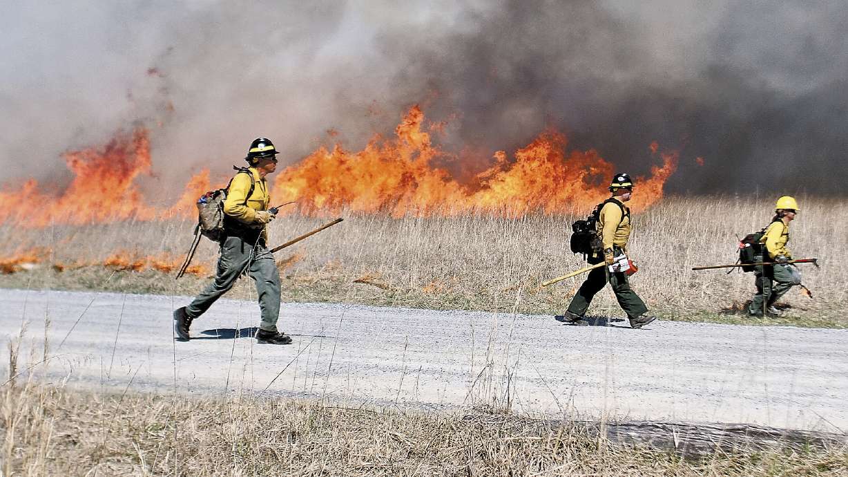 Experts seek ways to boost extreme wildfire survival rates