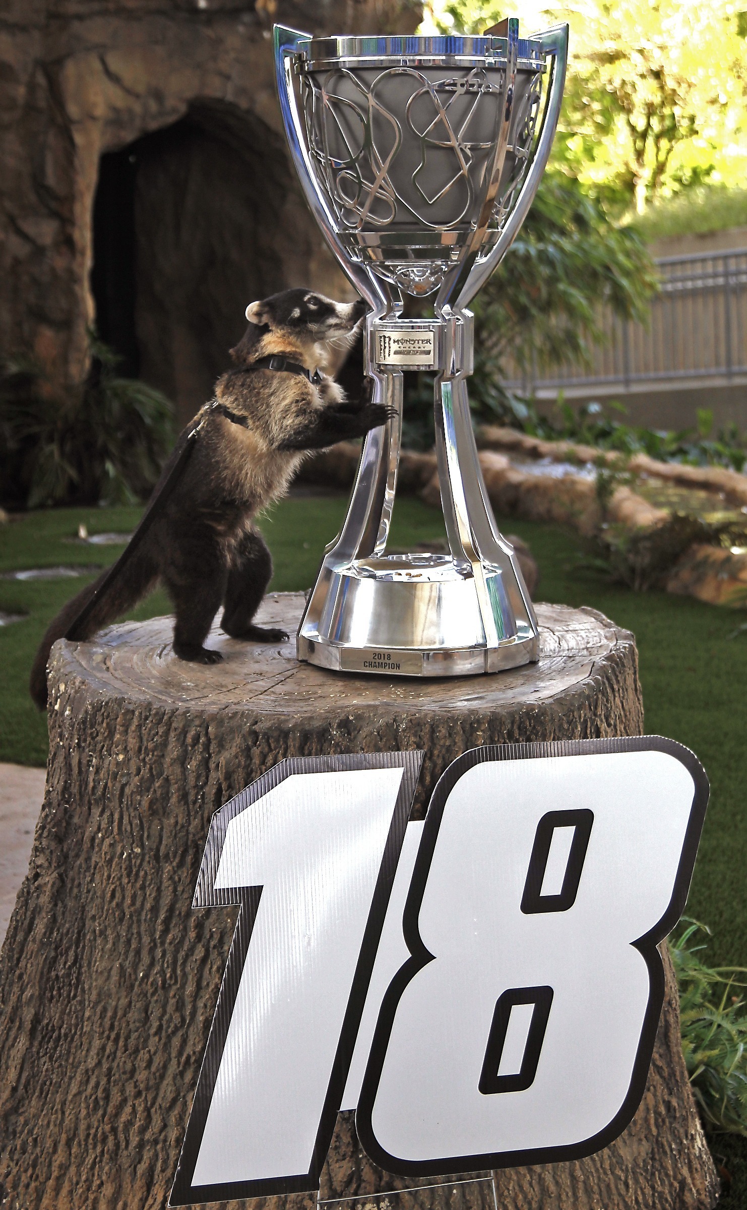 Kyle Busch has 2nd NASCAR Cup championship in sight