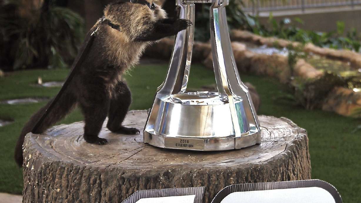 Kyle Busch has 2nd NASCAR Cup championship in sight