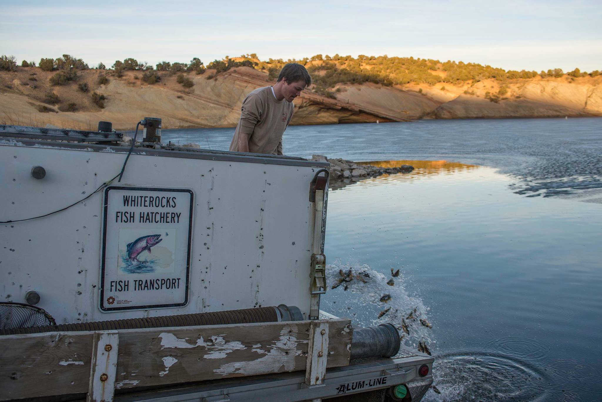 Wildlife officials stocking yellow perch at Red Fleet Reservoir. Photo credit: Utah Division of Wildlife Resources