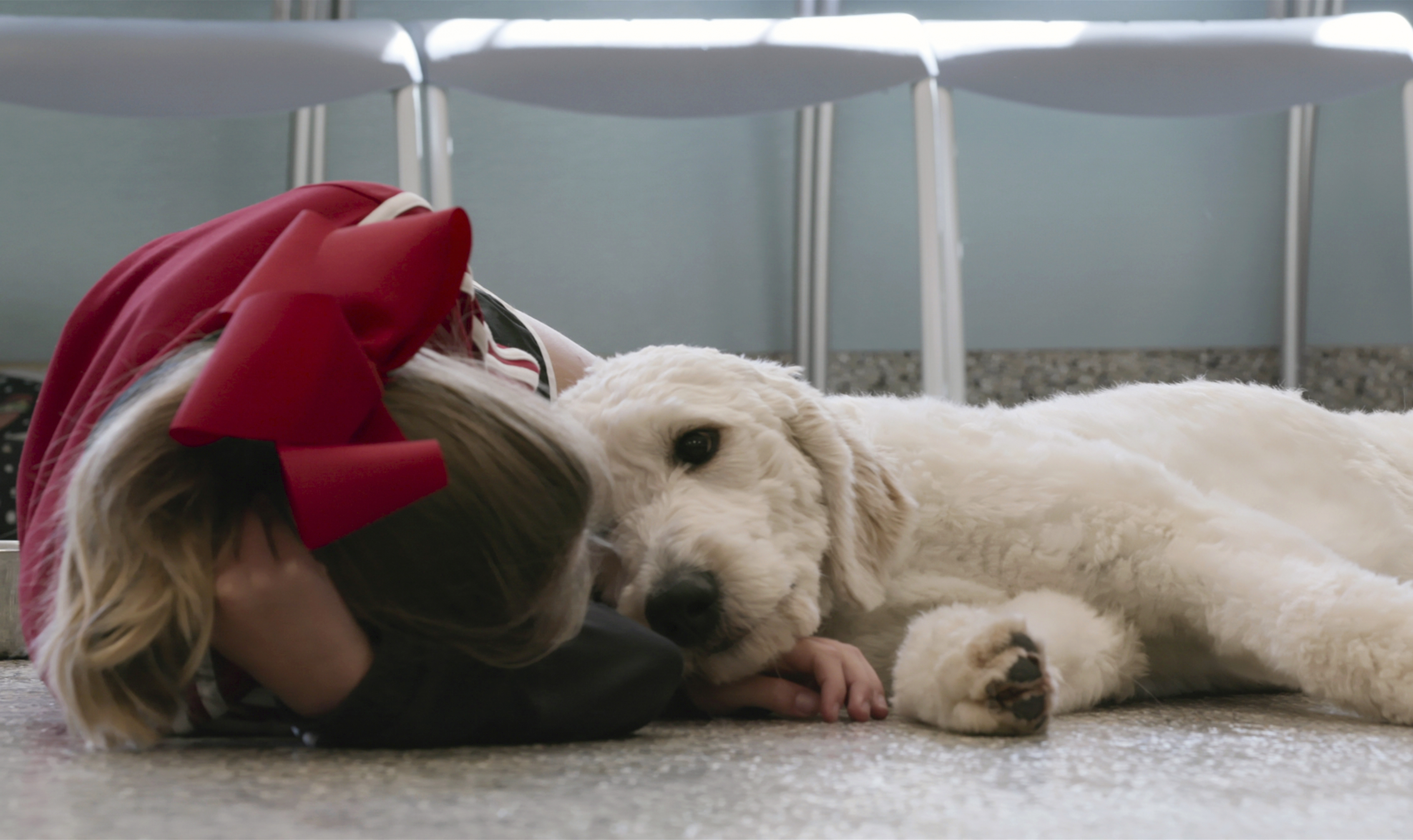 Netflix docu-series 'Dogs' lovingly serves up the human bond