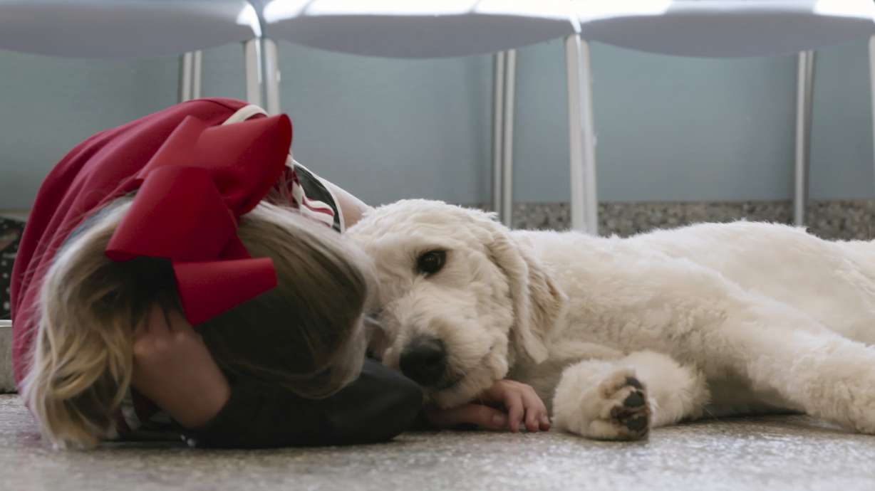 Netflix docu-series 'Dogs' lovingly serves up the human bond