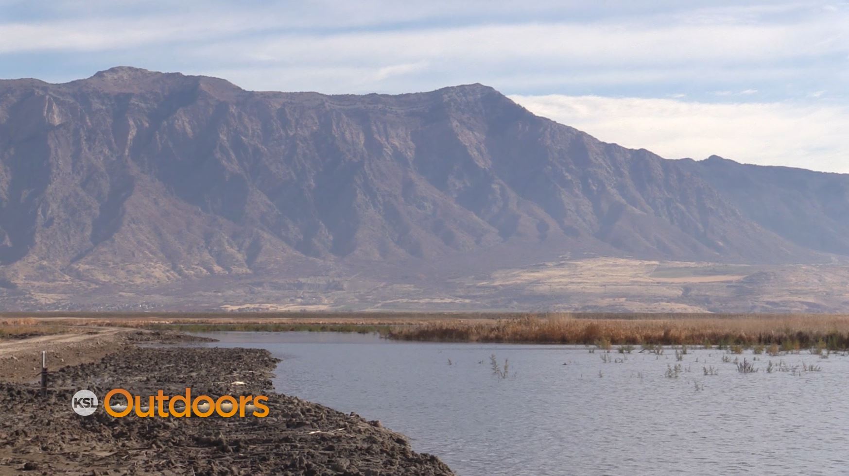 Utah Field Guide: Updates to Harold Crane W.M.A