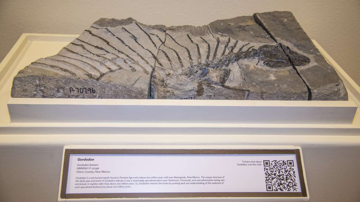 Fossil of plant-eating reptile found in southern New Mexico
