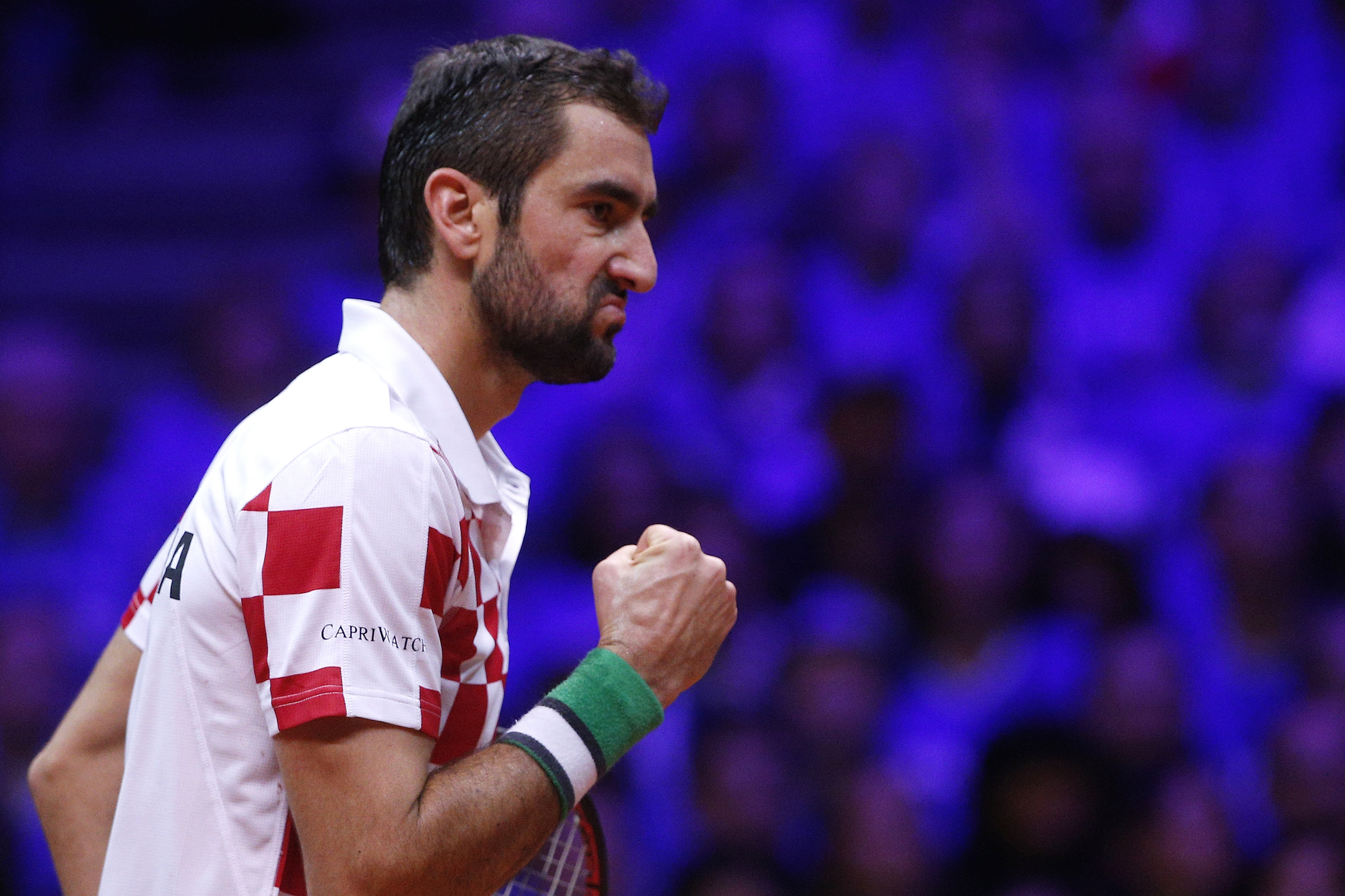 Cilic stays in control as Croatia wins Davis Cup