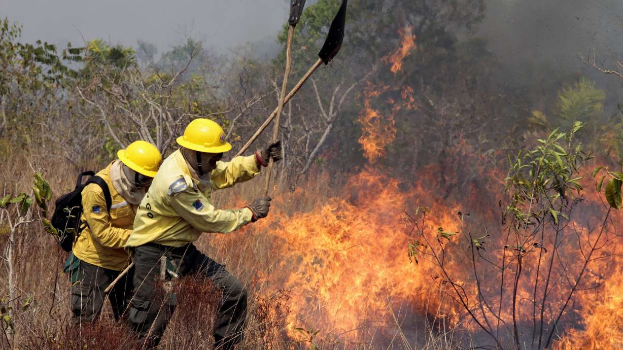 Scientists warn new Brazil president may smother rainforest