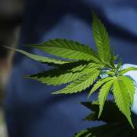 Prop. 2 supporters show up en masse at public hearing, express skepticism on compromise