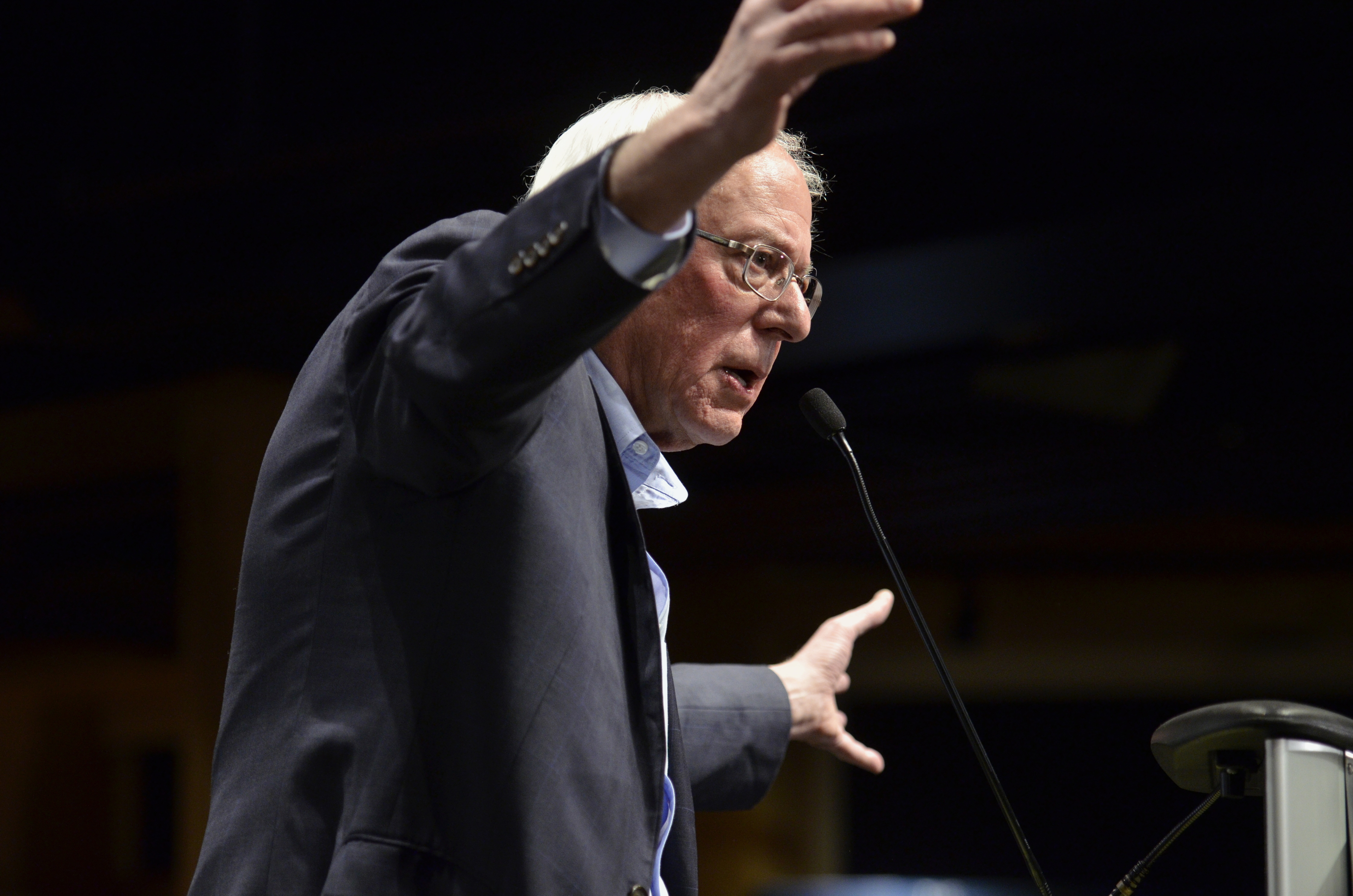 Sanders Institute gathering a pep rally for liberal ideas